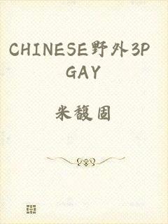 CHINESE野外3P GAY